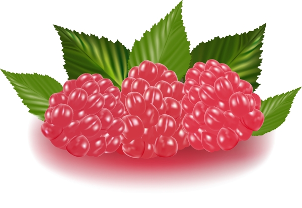 辣椒蘑菇