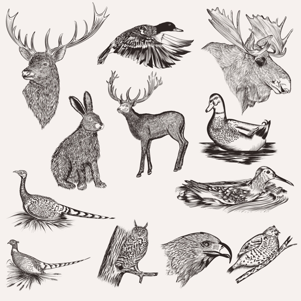 手绘动物系列
