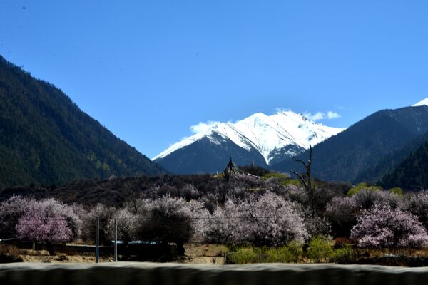 雅魯藏布江風景