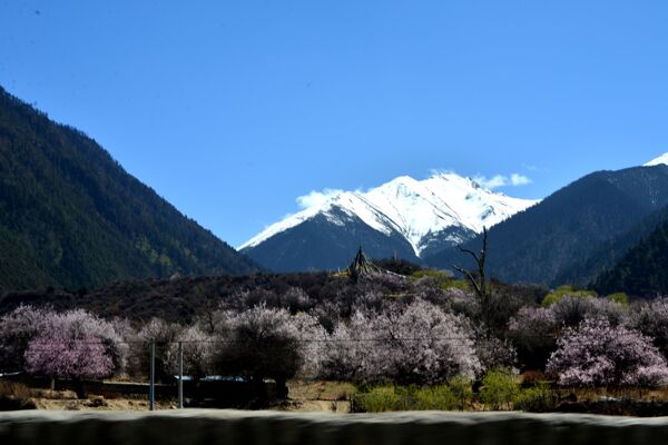 雅鲁藏布江风景