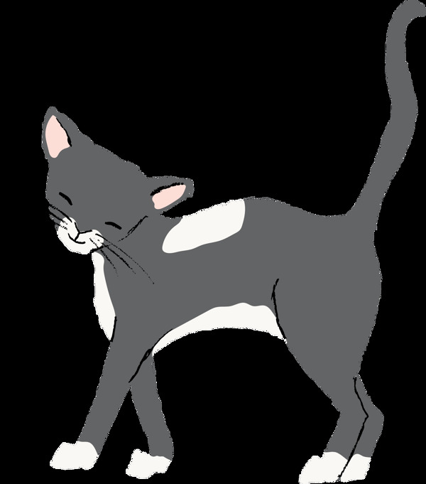 深灰色行走中的猫透明猫咪素材