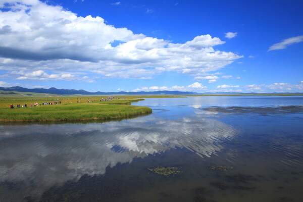 四川若爾蓋花湖風(fēng)景