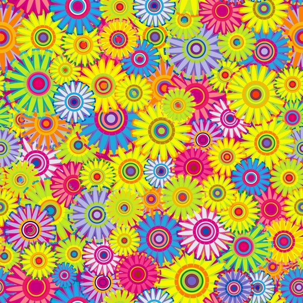 彩色缤纷的菊花背景图片