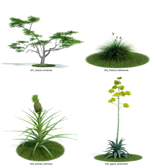 水果樹模型