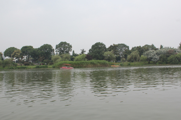 昆山亭林公園風(fēng)景畫(huà)圖片