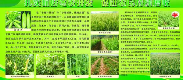 農(nóng)業(yè)展板圖片