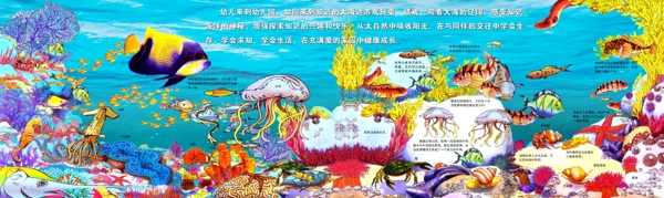 海洋生物