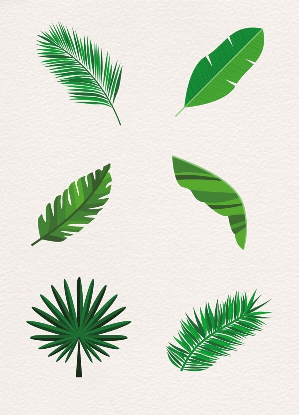 綠色植物樹(shù)葉設(shè)計(jì)