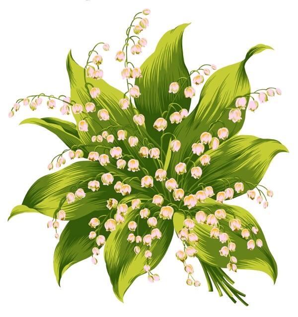 手繪水彩花卉串兒蘭