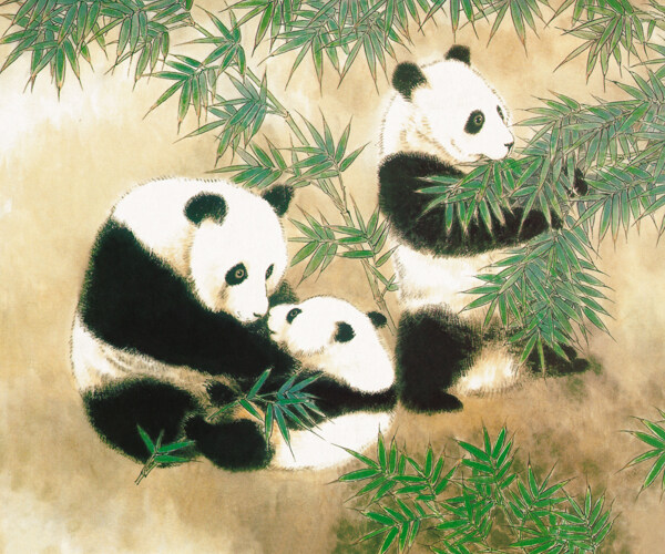 熊猫一家子精品图片