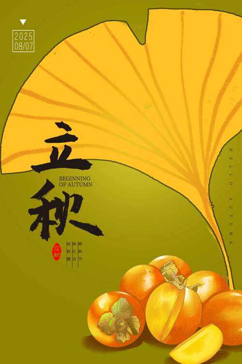 简约手绘银杏叶柿子插画立秋节气纯色背景海报