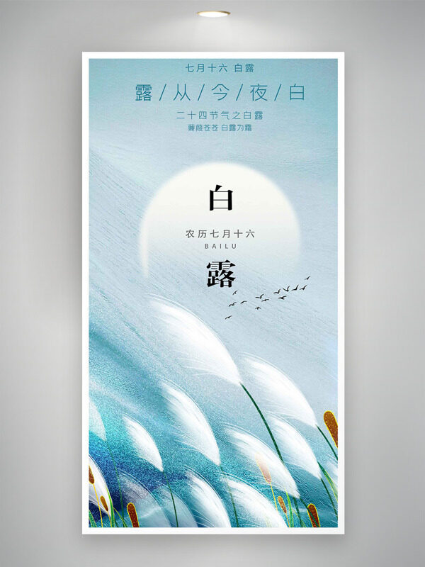 露從今夜白手繪白色蘆葦白露節(jié)氣海報(bào)