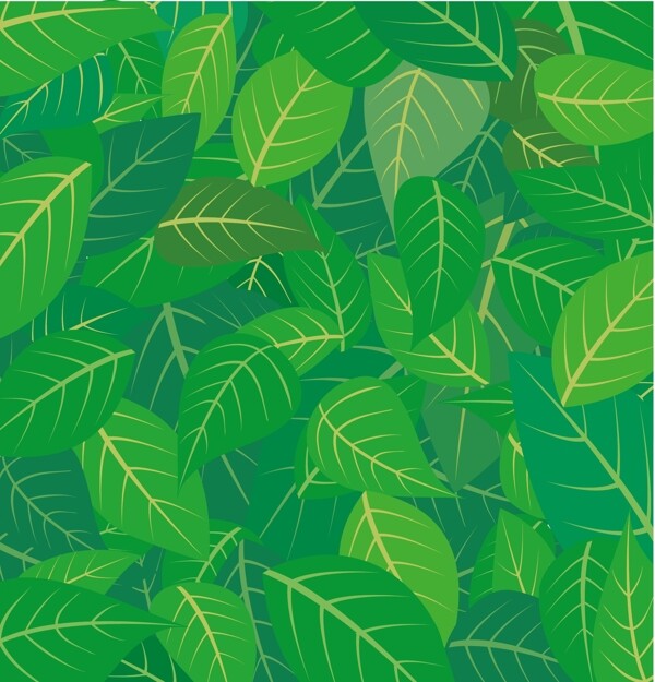綠葉矢量素材