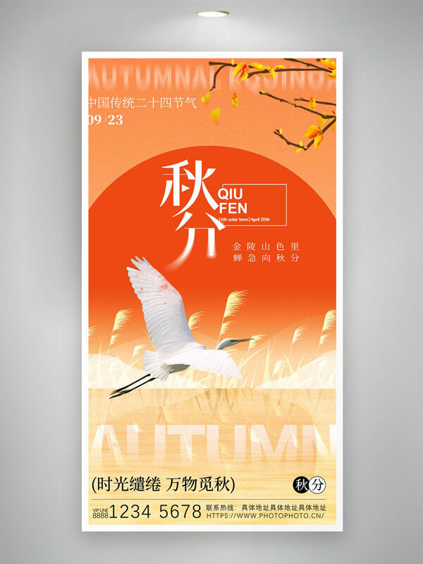 紅日背景蘆葦蕩白鷺插畫秋分節(jié)氣海報