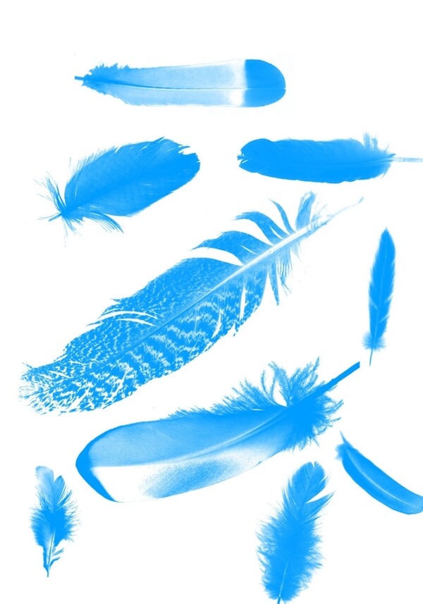 photoshop鵝毛羽毛筆刷