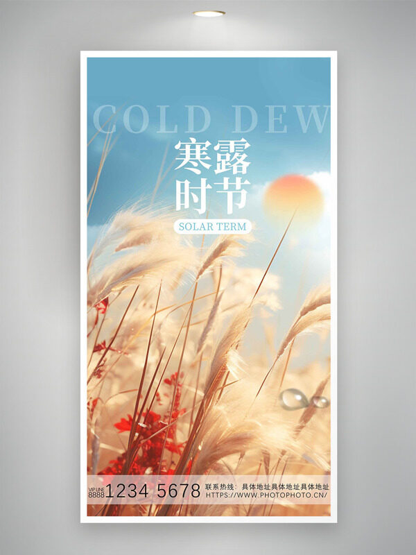 寒露時(shí)節(jié)簡約植物插畫傳統(tǒng)節(jié)氣海報(bào)