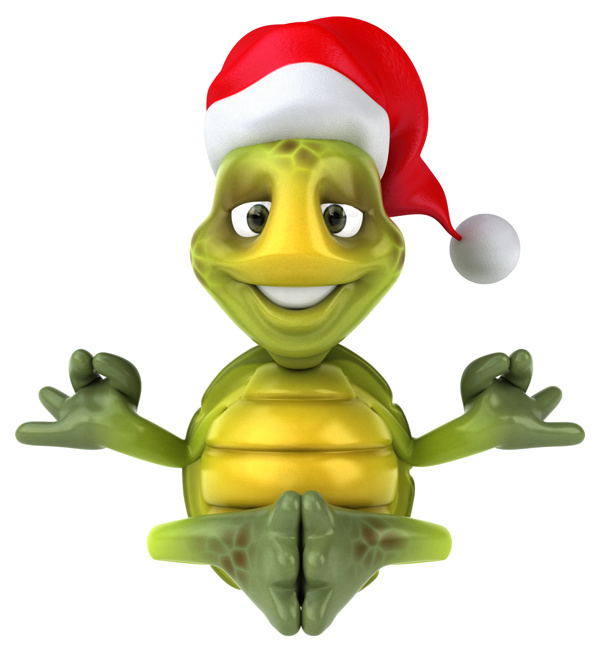 开心的圣诞乌龟图片