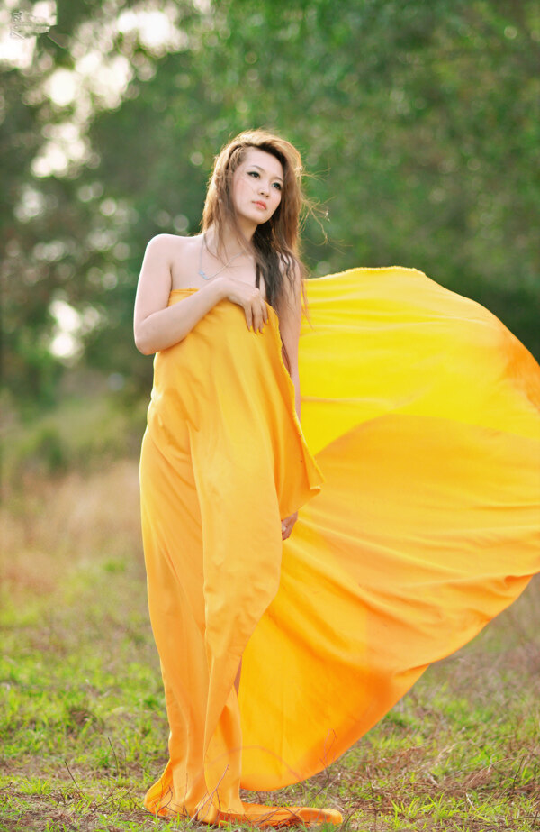 黄裙魅影图片