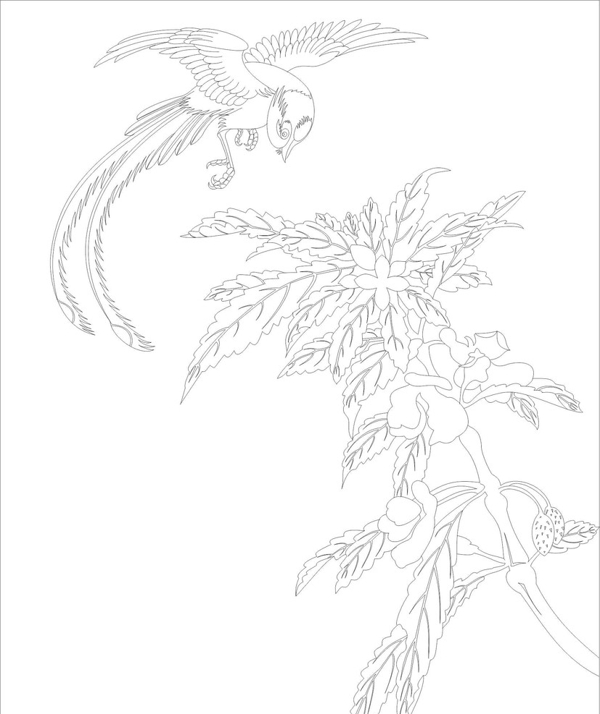 花鳥圖片
