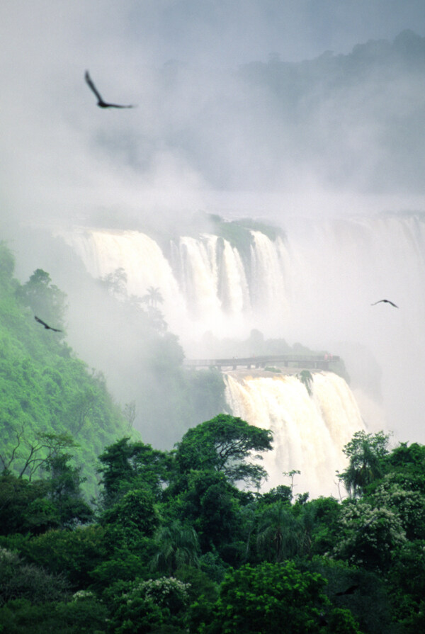 热带雨林瀑布高清图片