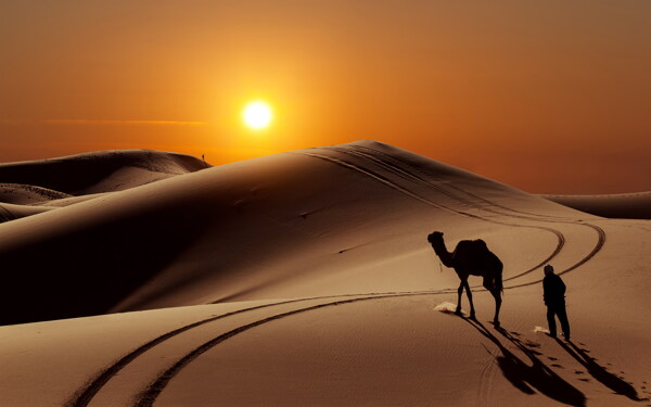 夕阳沙漠骆驼剪影图片