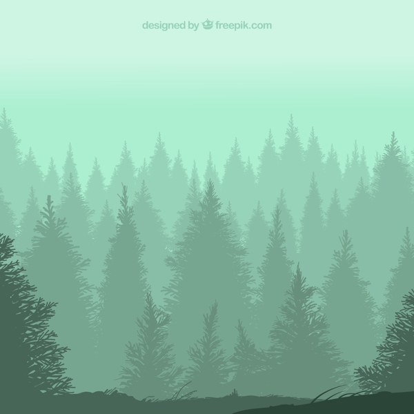 树林森林