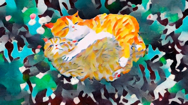 原創(chuàng)插畫盛夏夜晚安喵情侶
