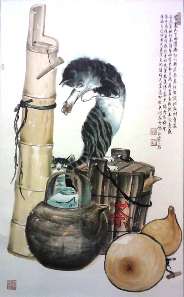貓趣圖片