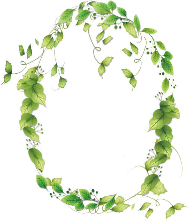 手绘水彩绿叶缠绕花圈png透明素材