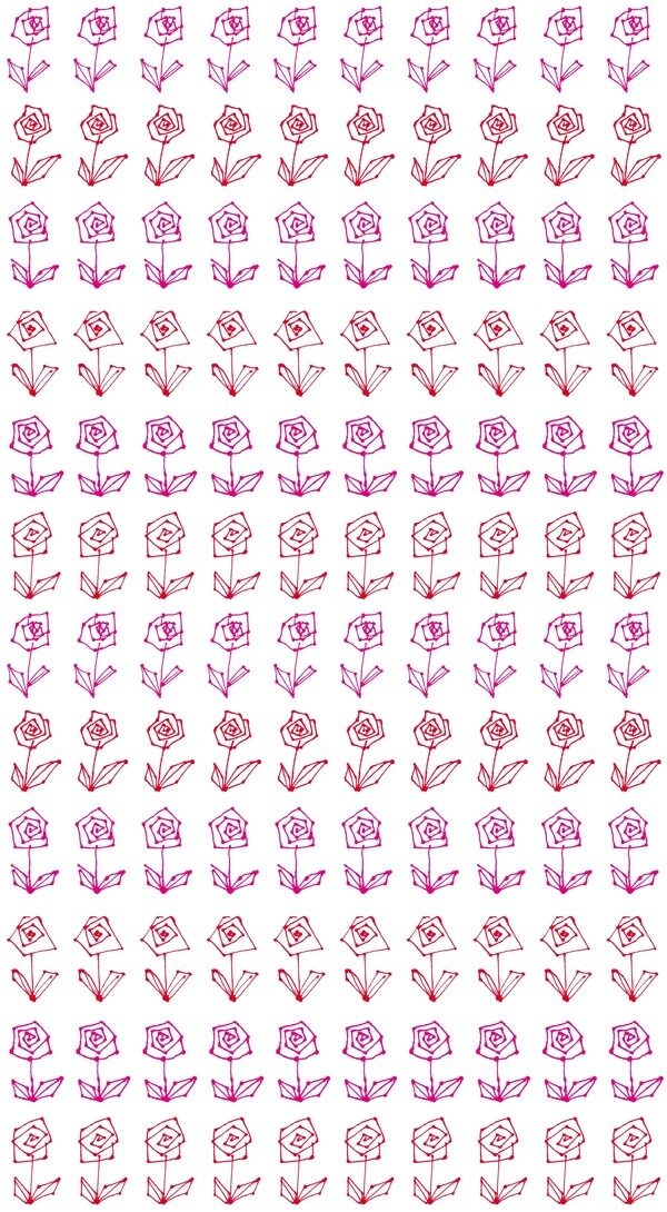 玫瑰花圖片