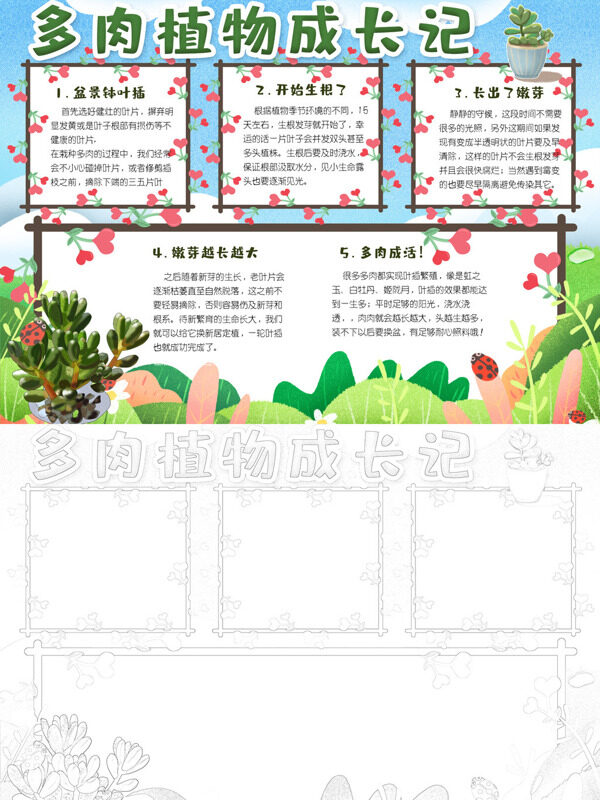 多肉植物成长记多肉成长手抄报