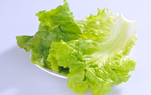 生菜圖片