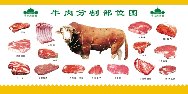 牛肉分割部位图图片
