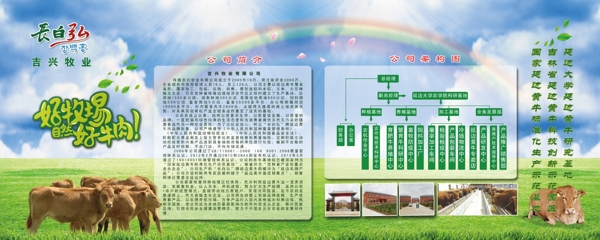 牧場簡介展板圖片