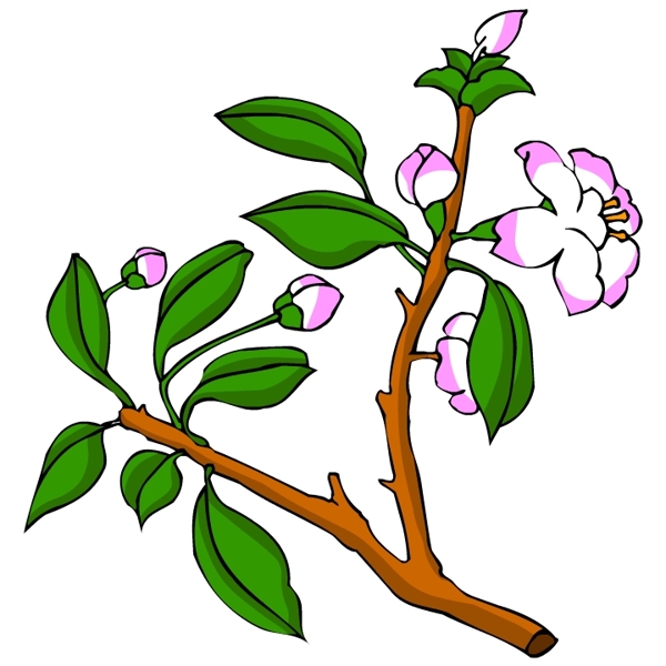 花卉古典插畫