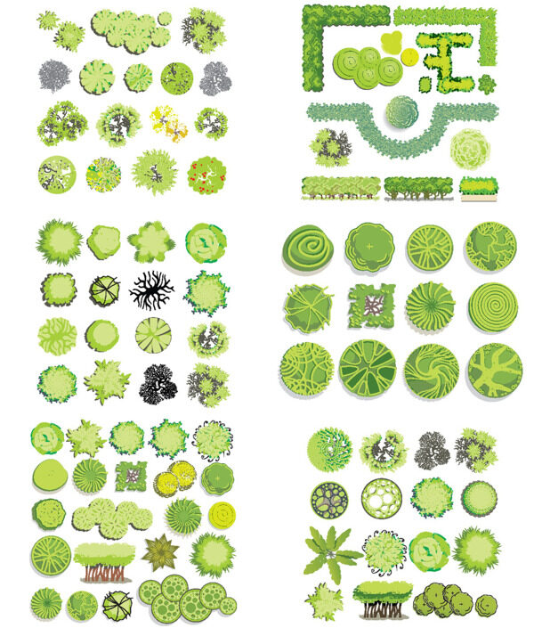 綠色園林植物