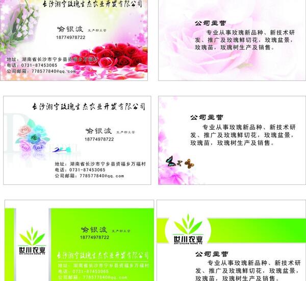 玫瑰名片圖片