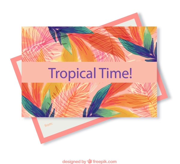 热带树叶明信片图片