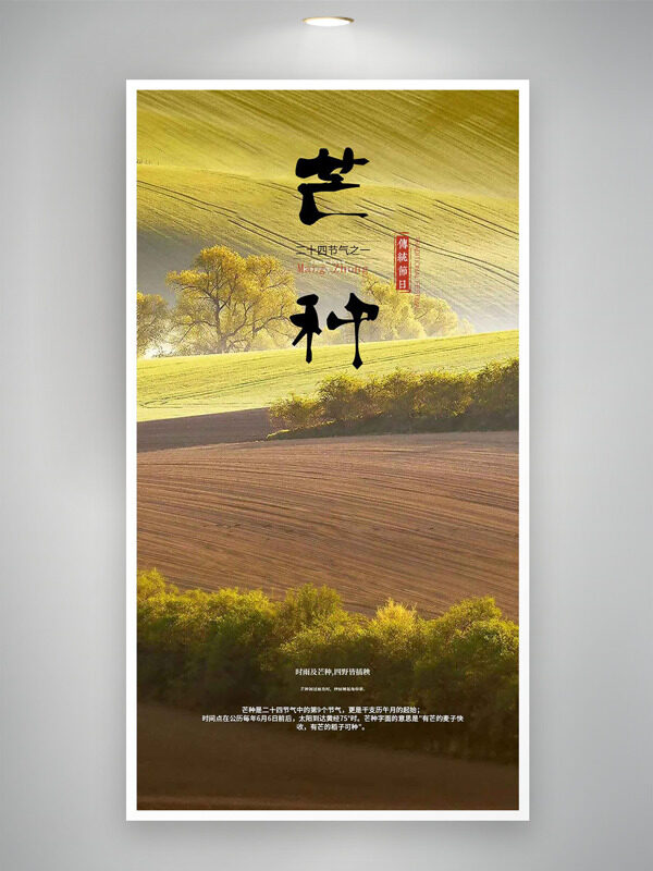 二十四节气芒种田园风光背景简约海报