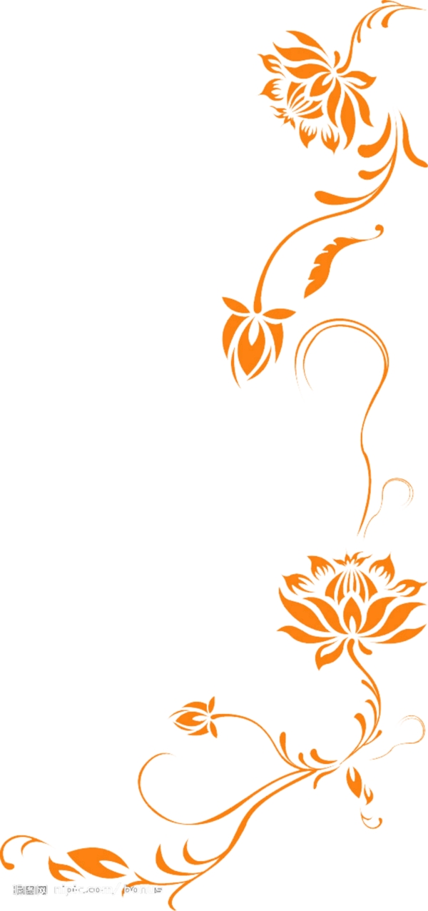 蓮花圖案邊框圖片
