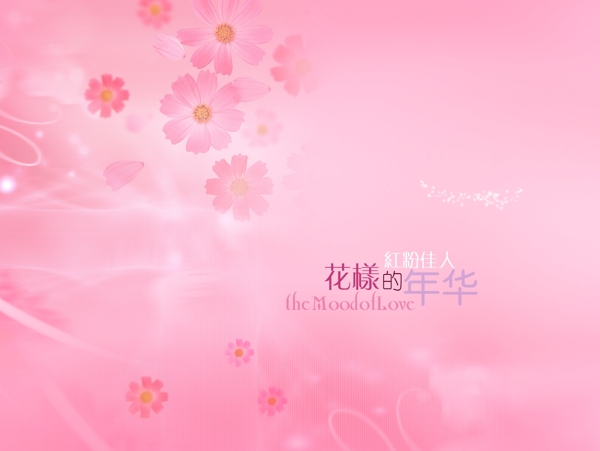 相冊模版圖片