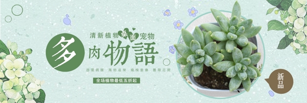 綠色小清新花店多肉植物電商