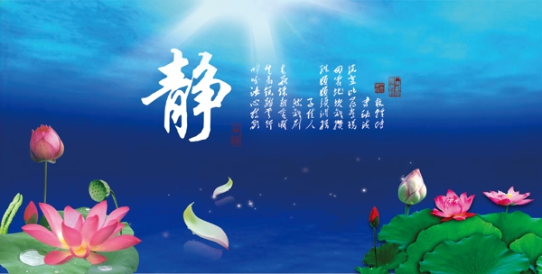 魚(yú)缸背景