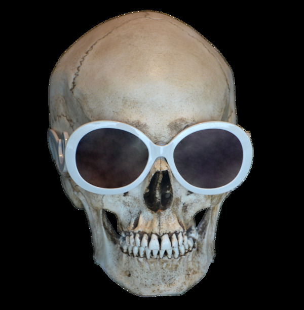 戴眼镜的人头骨免抠png透明图层素材