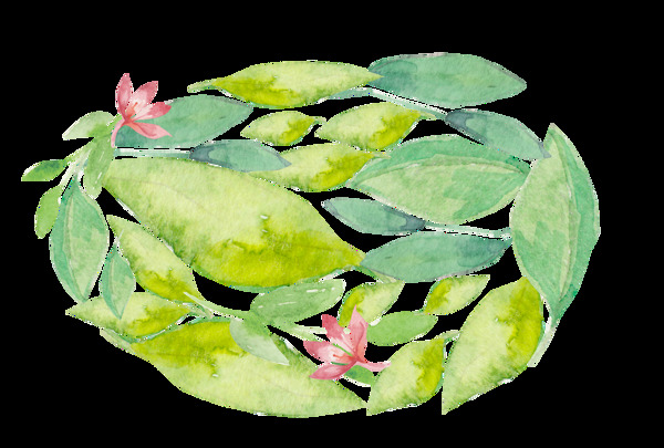 清新綠色植物透明裝飾素材