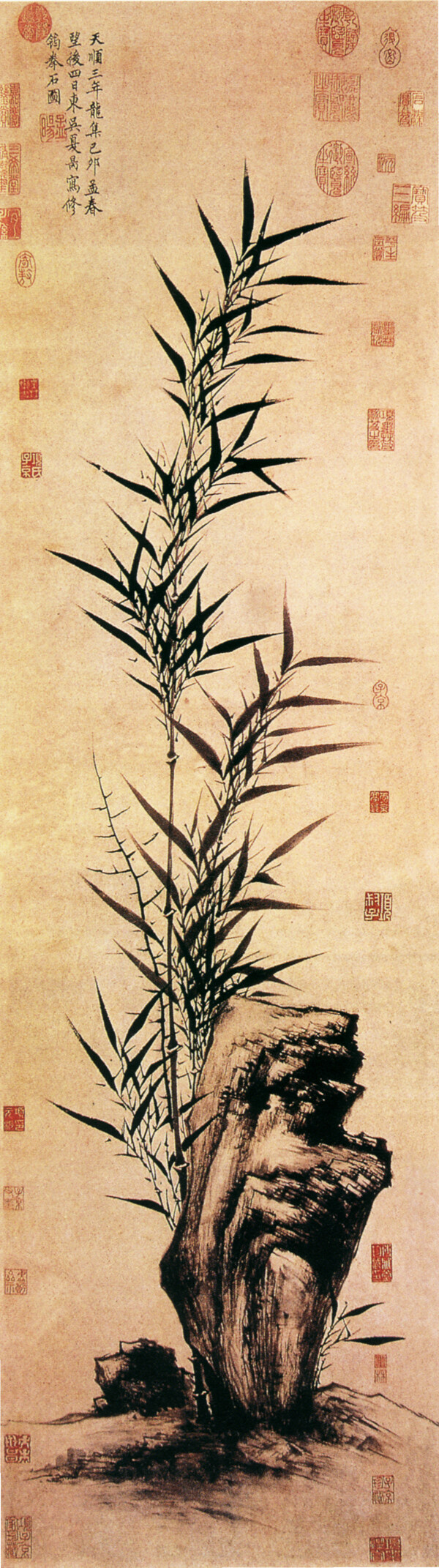竹葉竹子中國風(fēng)竹竿中華藝術(shù)繪畫植物