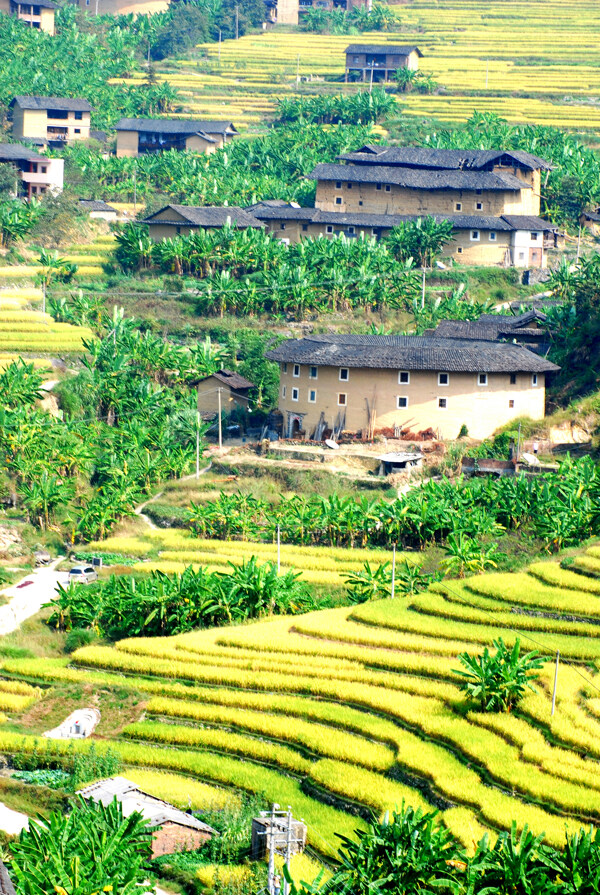 永定土楼风光图片