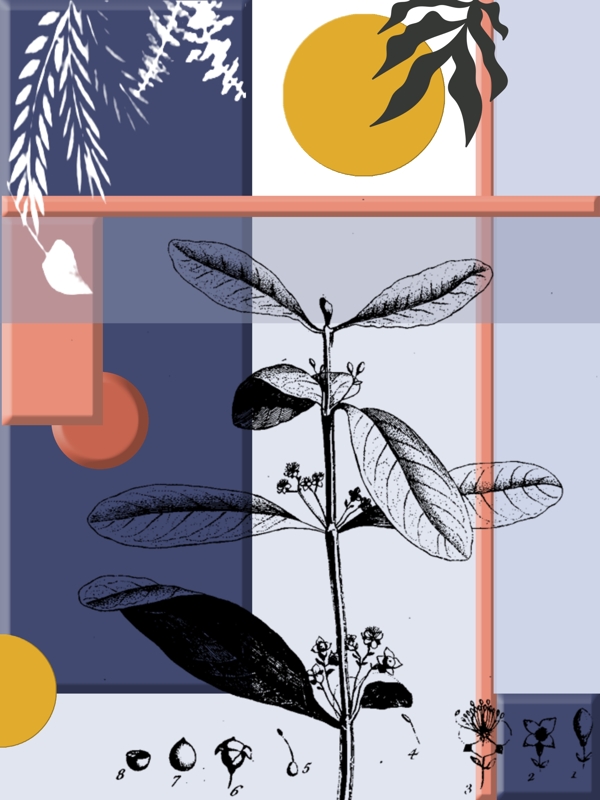 现代感手绘植物几何组合春日北欧装饰画