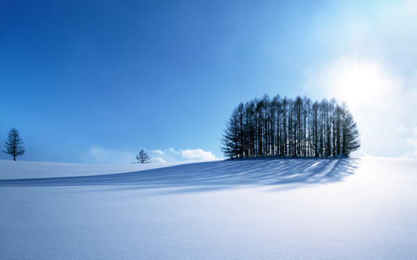 阳光下的雪景