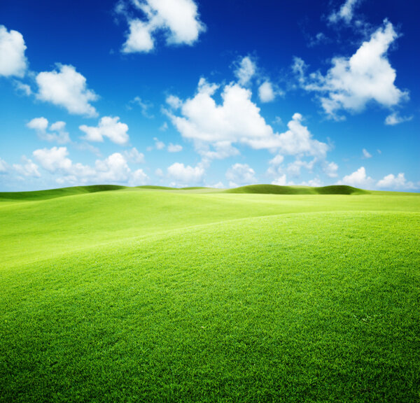 草地风景与蓝天白云图片